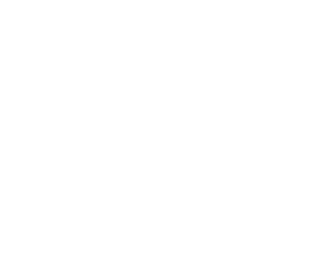2. SAAVU FÖÖNIIN